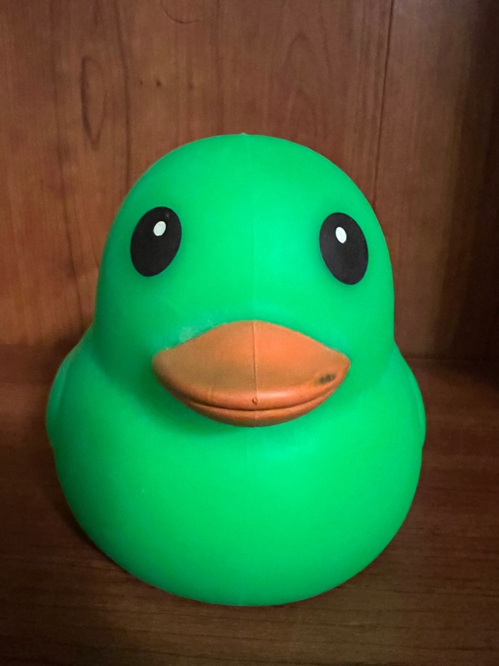 Bright Green Squishy Duck!